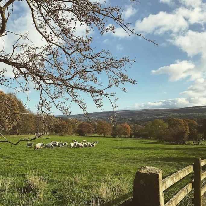 1800 Period Grade 2 Listed Cottage Addingham Exteriér fotografie